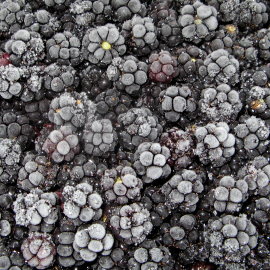 24  Mres congeles - gefrorene Brombeeren - frozen blackberries